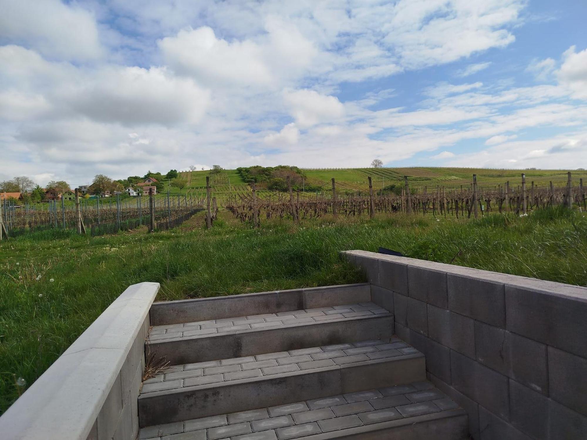 Sklep Vino Strycek Velke Bilovice Exterior foto