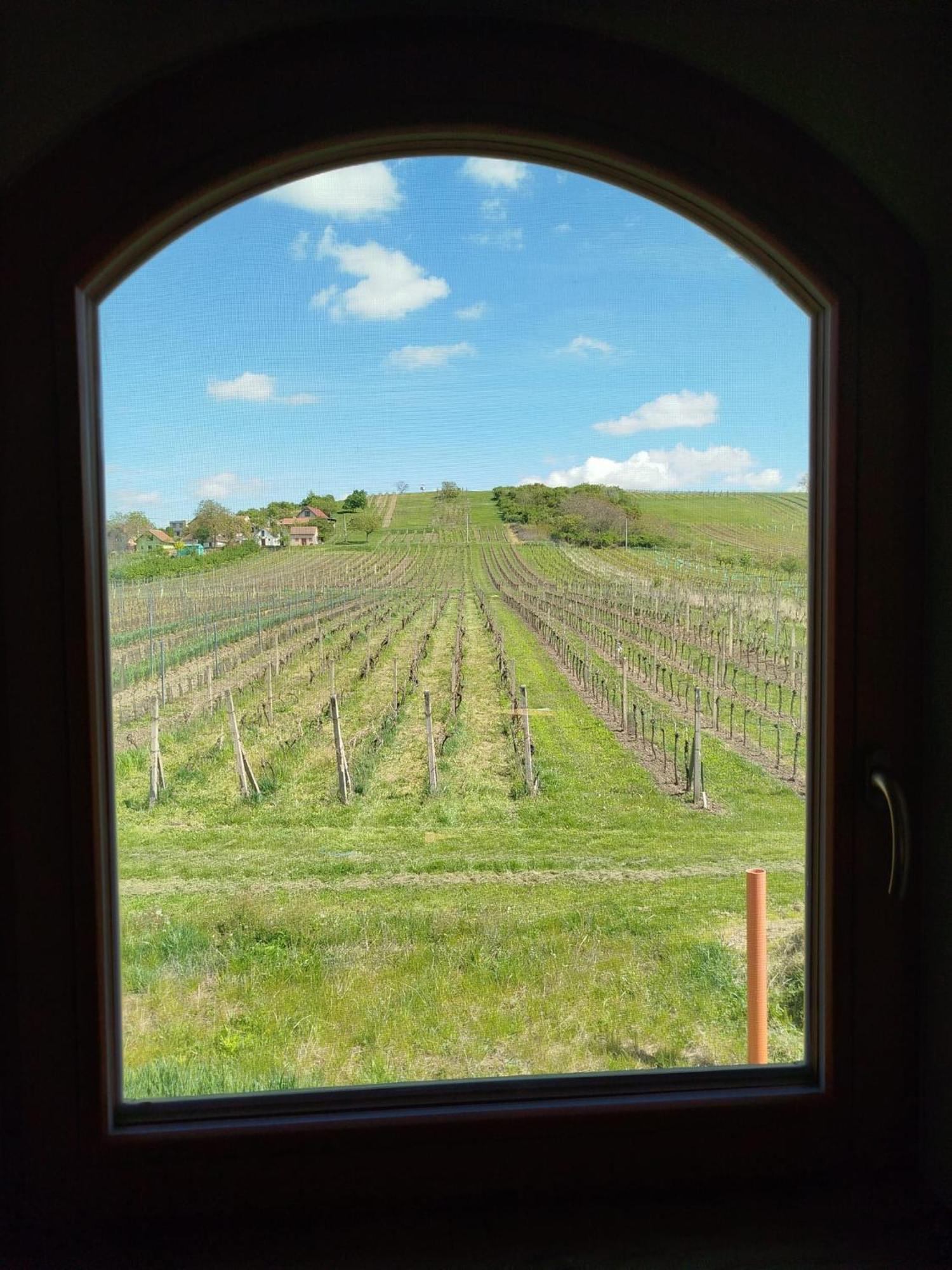 Sklep Vino Strycek Velke Bilovice Exterior foto